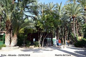 19 ELCHE HUERTO DEL CURA (11)